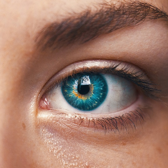 Close up of a human eye.